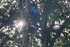 IMG-20240912-WA0029