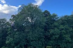 IMG-20240912-WA0032
