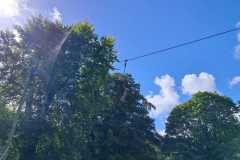WhatsApp-Image-2024-09-12-at-02.31.07_a7afe61f