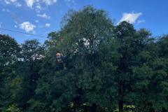 IMG-20240912-WA0031