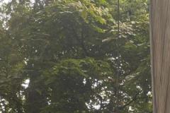 IMG-20240913-WA0029