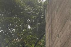 IMG-20240913-WA0030