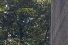 IMG-20240913-WA0032