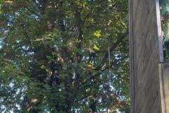 IMG-20240913-WA0035