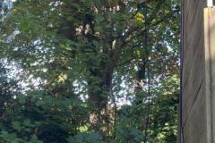 IMG-20240913-WA0036