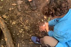 IMG-20240913-WA0049