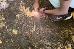 IMG-20240913-WA0052