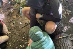 IMG-20240913-WA0106