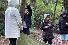 IMG-20240913-WA0118