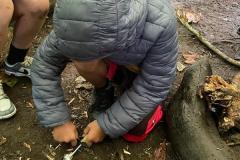 IMG-20240913-WA0125