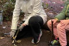 IMG-20240913-WA0130