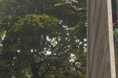 IMG-20240913-WA0031