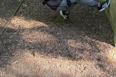 IMG-20240913-WA0033