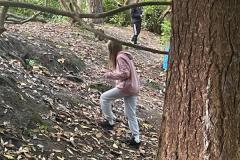 IMG-20240913-WA0043