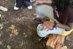 IMG-20240913-WA0053