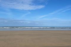 IMG-20240913-WA0158