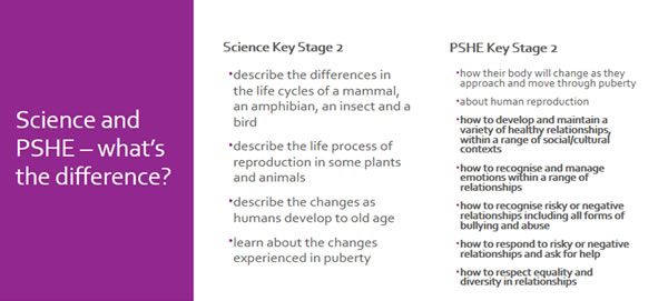 SRE-science-ks2